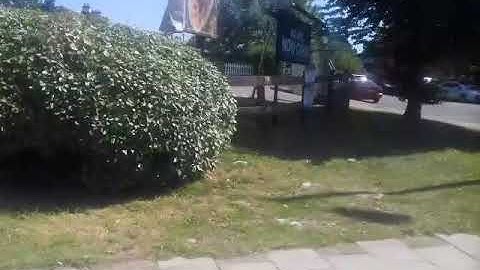 Me filming on the H18 bus(2)