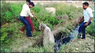 ये क्या मिल गया मुझे || Finaly Chenge My Bad Time || क्या है इसका राज vlog viralvideo viral