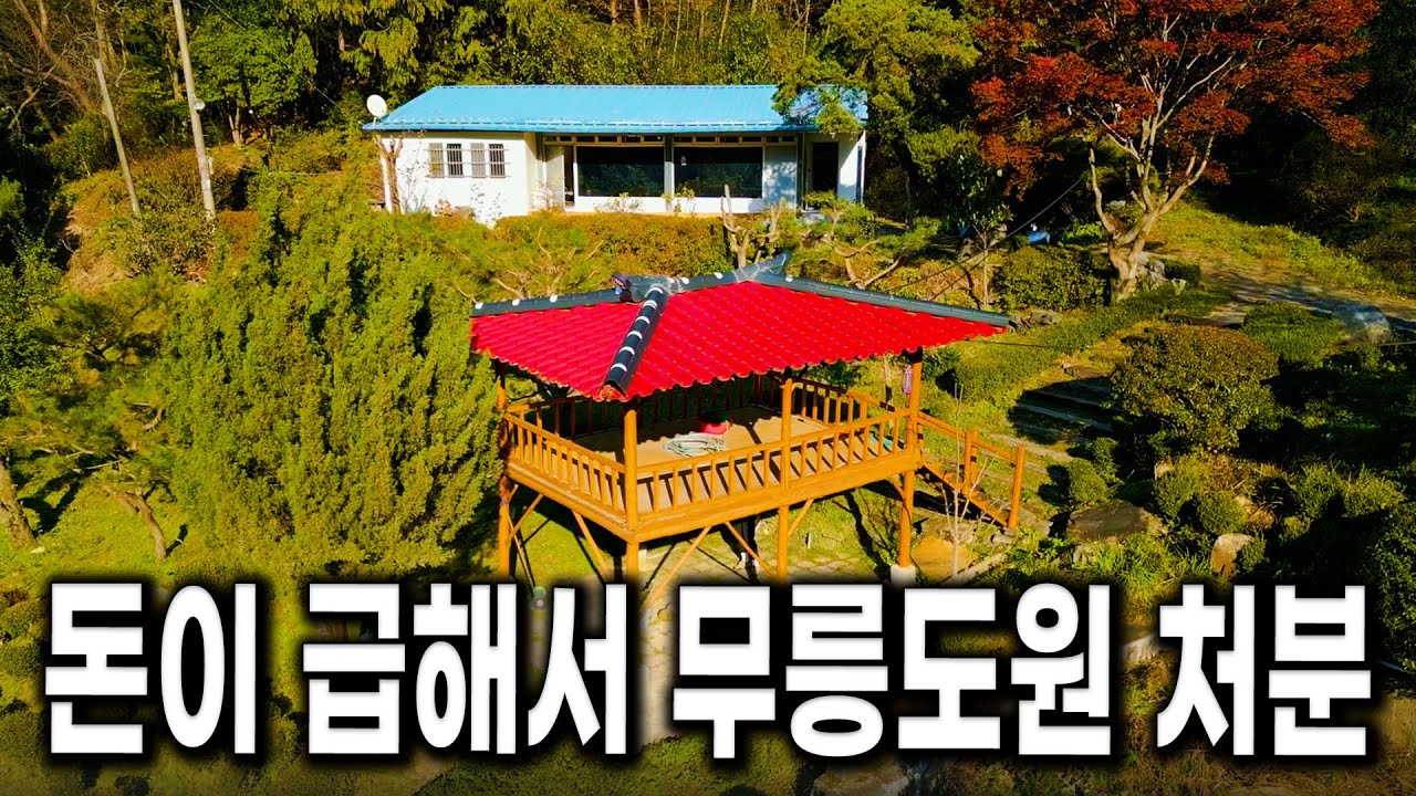 돈이 급해서 내놓습니다..