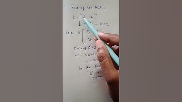 find the rank of 2x2 matrix explanation in hindi