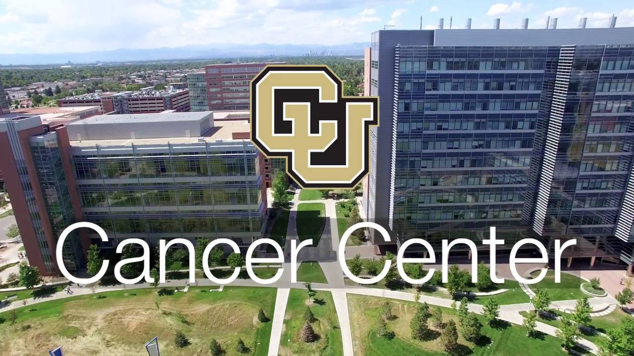 Virtual Tour of the Cancer Clinical Trials Office - YouTube