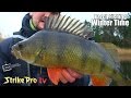 Strike Pro TV – Perch Fishing Wintertime