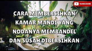 Cara Membersihkan Kamar Mandi Yang Nodanya Membandel Dan Susah Dibersihkan