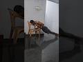 Push Up Progression 💪🔥 #pushup #challenge #malayalam #homeworkout #new #malayalamvartha