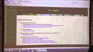 Math448Lecture13 | Mathematical Modeling