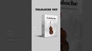 TOLOLOCHE VST instrumento virtual para corridos  #vstplugin#musicproduction #regionalmexicano