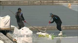 130602 다큐멘터리3일 예고 ㅣ KBS방송