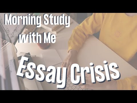 Morning Essay Crisis | Study with Me in Real Time | Lofi Study Beats