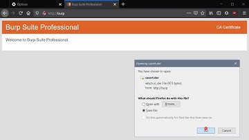 Fix HTTPS issue in browser - Burp Suite