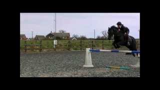 Gellihaf Sultan Welsh Sec C Jumping
