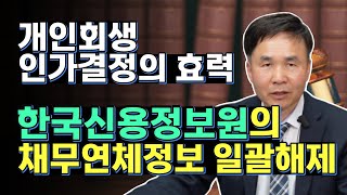 개인회생 변제계획 인가결정이 나오기까지 걸리는 기간과 인가결정 효력 (1-12)