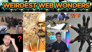 weirdest web wonders vol 359