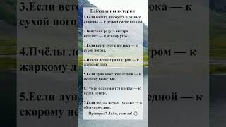 Бабушкины приметы #37 #Приметы #Суеверия #Советы #Поверья #shorts
