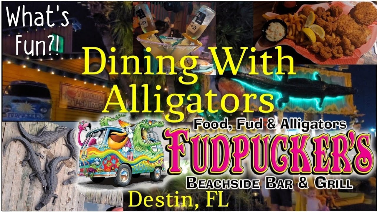 Fudpucker's Beachside Bar & Grill Destin, FL destin destinflorida restaurant alligators