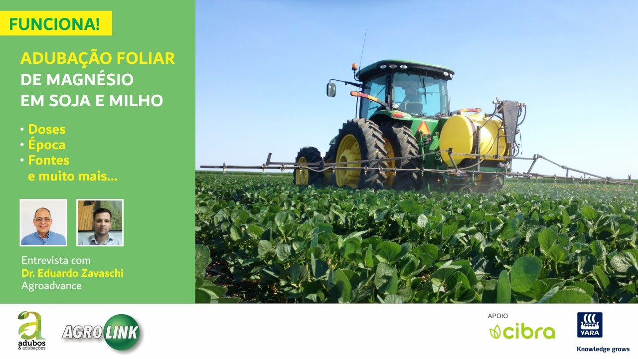 # 211 - MAGNÉSIO FOLIAR - ENTREVISTA COM DR. EDUARDO ZAVASCHI