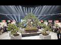 World Cup 2026 USA — 48 Nations Compete for Bonsai History