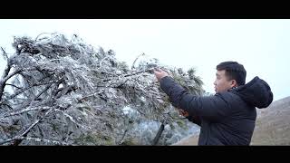 Chuyến Đi Trải Nghiệm Băng Tuyết Mẫu Sơn