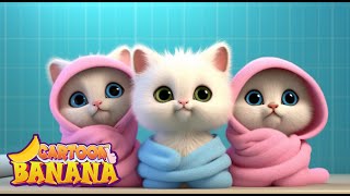 Los tres gatitos y su compañerismo - cancion de bebe | Banana Cartoon by Banana Cartoon Español 11,542 views 6 months ago 2 hours, 38 minutes