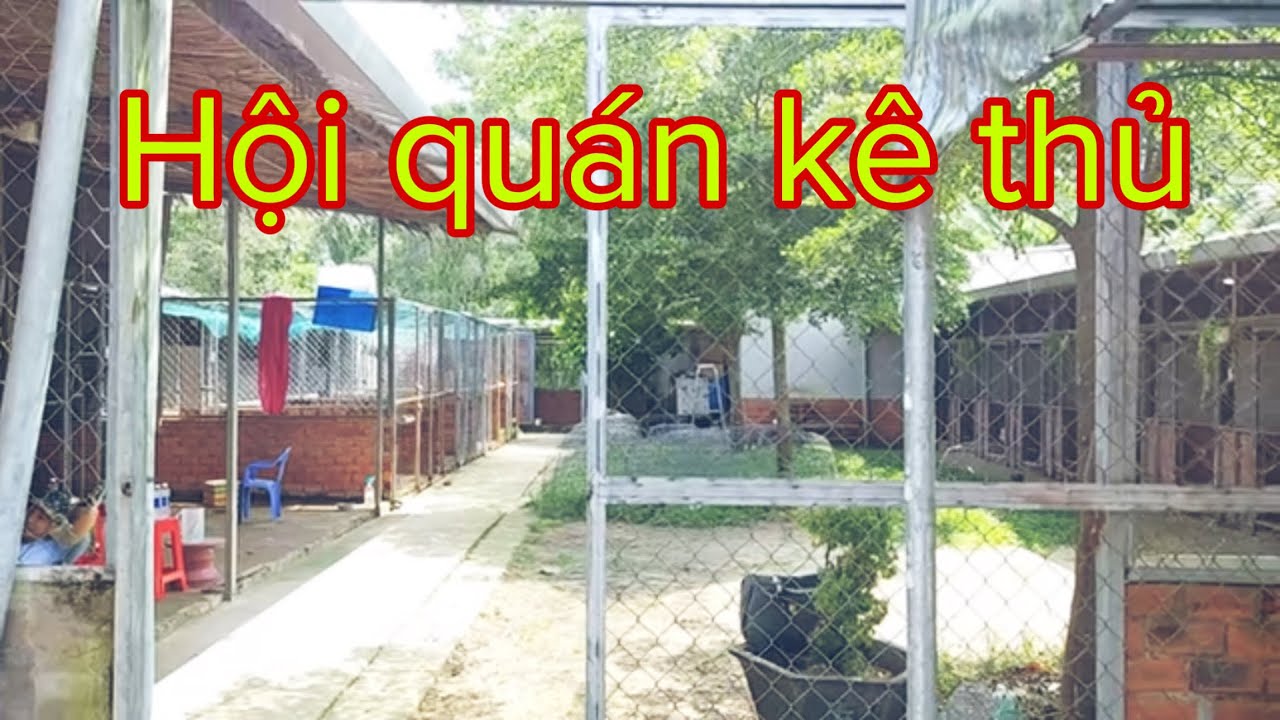 Wala Meron Yêu thích ( Trại Gà Quá Nhi) Cầu Lớn Hóc Môn các bạn đam mê ...
