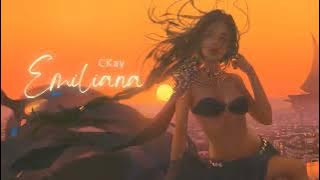 Vietsub | Emiliana - CKay | Nhạc Hot TikTok | Lyrics Video