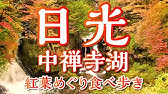 ソロ遠足 日光東照宮 東京から日帰り旅 Youtube ソロ遠足 日光東照宮 東京から日帰り旅 Youtube
