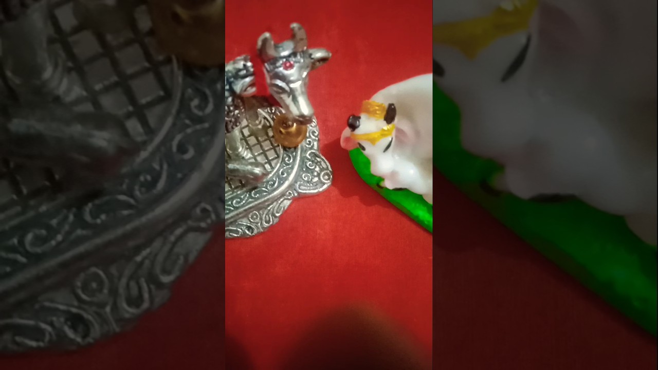 Radhe Radhe Jai Shri Krishna 