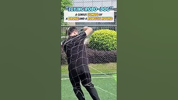 Meet the “Flying Robo-Dog” - a genius combo of a #drone and a robotic hound#InnovateChina#technology