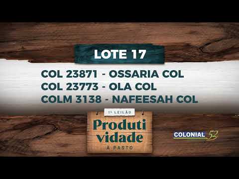 LOTE 17   COL 23871,23773,COLM 3138