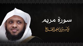 سورة مريم - الشيخ توفيق الصايغ #الذكر_الحكيم