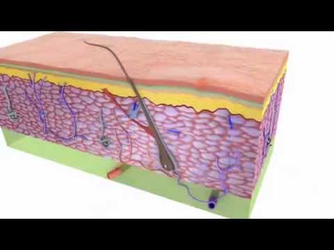 Биоревитализация Juvederm Hydrate