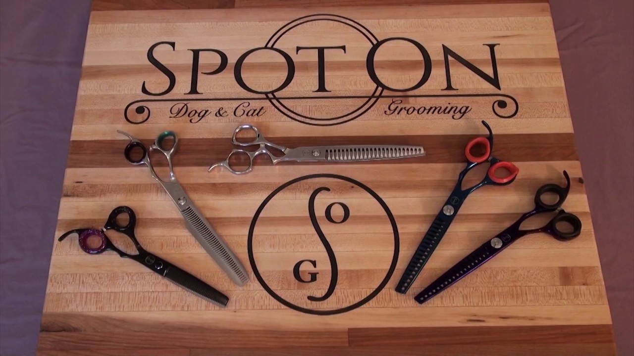 How to Tune Thinning Shears YouTube