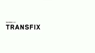 AcuticNotes - transfix program「transfix」