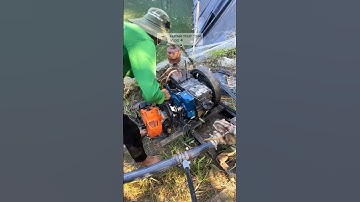 biến máy cắt cỏ  siêu đỉnh chế thành máy đề nổ