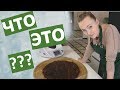 ДИМА В КИНО что мы готовим ??? идём на концерт Федишин ЗОЖ