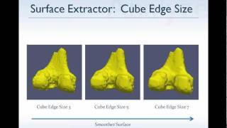 Bone Segmentation and Surface Generation with Analyze 10.0 - Webinar