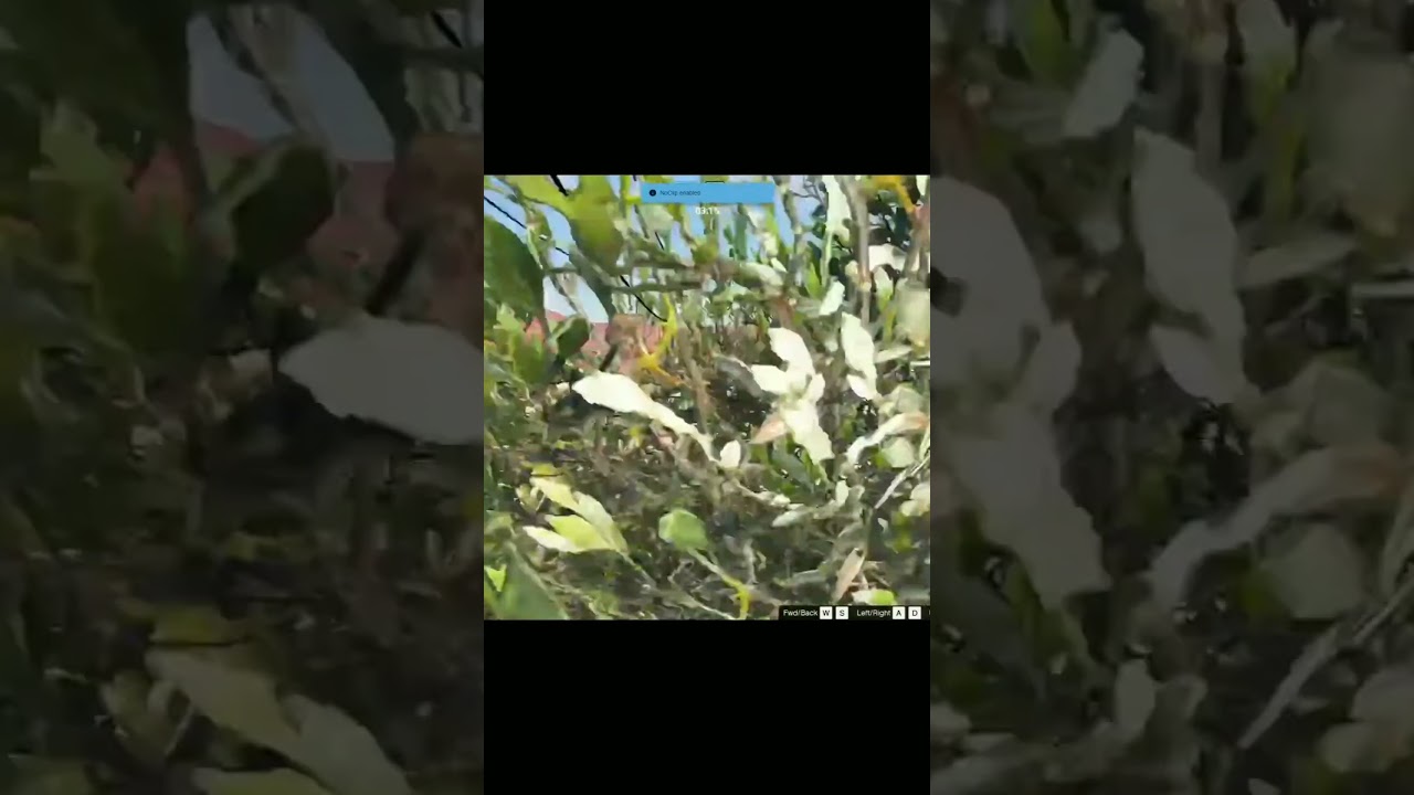 7/8 Highlights Of ZCPD vs CM Rancho turf War  