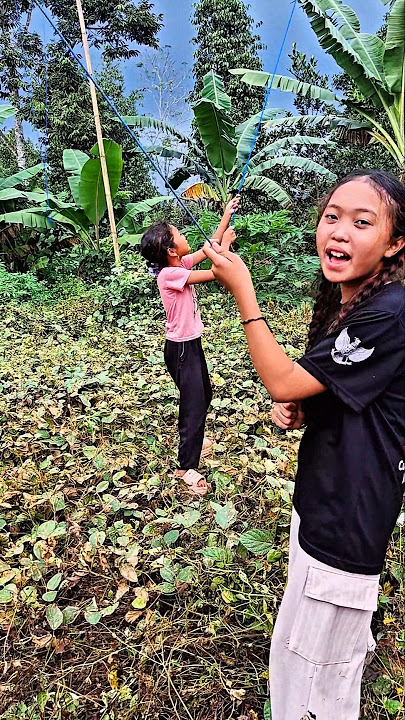teteh ngajar layangan sempak#trendingshorts