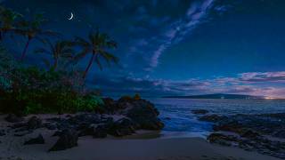 Fall Asleep by the Ocean in Maui - Waves, Cicadas & Dark Screen for 8 Hours (Episode 1) screenshot 5