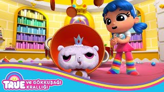 Frookie Oturumu True Ve Gökkuşağı Krallığı 5. Bölüm Tam Bölüm Çocuklar Için Çizgi Film