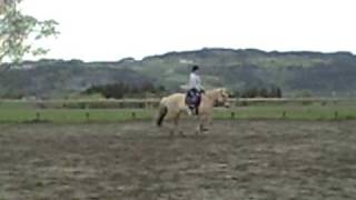 VID00104.AVI