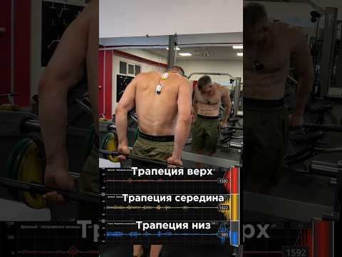 Хочешь заниматься максимально эффективно-связь Telegram:trainersmirnovv