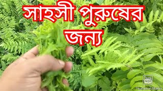 যে কারনে সাহসী পুরুষরা ধজভঙ্গ রোগে আক্রান্ত হয় আজকের ভিডিও টি তাদের জন্য।। Hakim Rashid Naogaon.