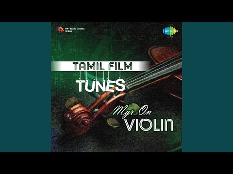 Naan Aanaiyittaal Instrumental Enga Veettu Pillai
