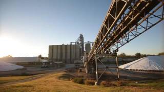 CGB Grain - What We Do