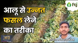 Potato Farm: आलू की फसल में जरूर करें ये काम, मिलेगा बड़ा और अच्छा आलू |  Ashwani Kushwaha