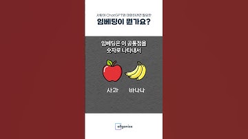 사람이 ChatGPT랑 대화하려면 필요한 임베딩이란 뭔가요? #임베딩 #embedding #LLM