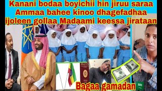 Download Lagu 📌🇸🇦 Kanaan Boodaa bochii hin jiruu Seraa harawaa motuman Saudi Arabia basee waan gaarii dha MP3 Download Lagu 📌🇸🇦 Kanaan Boodaa bochii hin jiruu Seraa harawaa motuman Saudi Arabia basee waan gaarii dha MP3