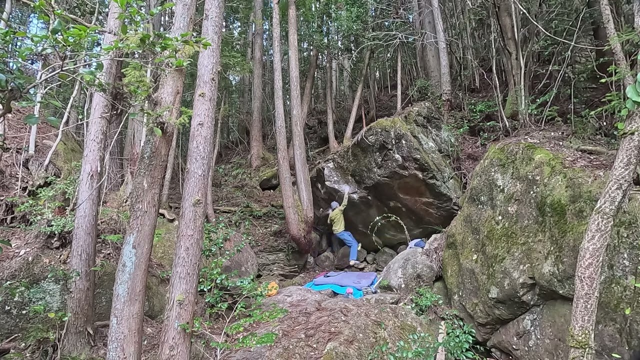 フクベ 『トメクルーズ』 初段