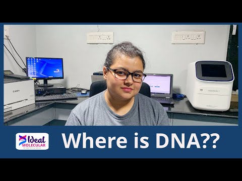 Back to Basics 03: Where is the DNA? | Mini Cell Biology Intro (Hin)