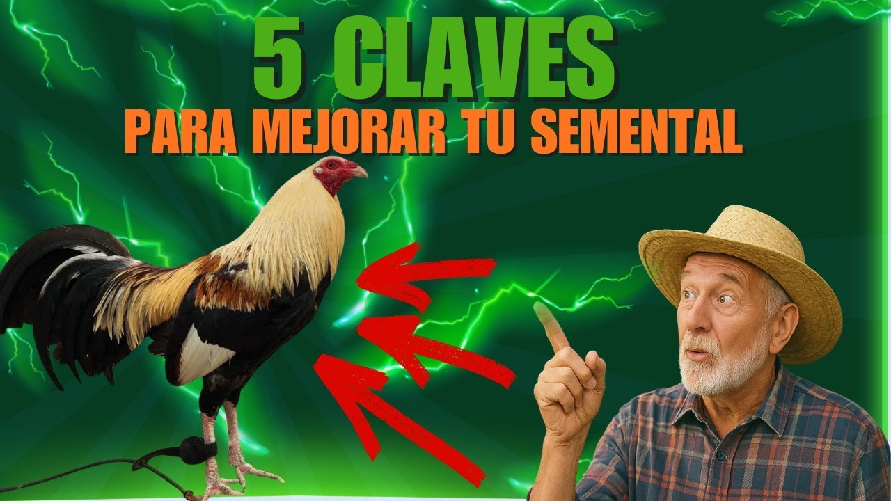 Las 5 claves que definieron a los mejores sementales de la historia